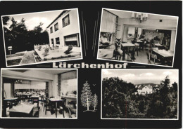 Diemelstadt Rhoden - Gasthaus Lärchenhof - Sonstige & Ohne Zuordnung