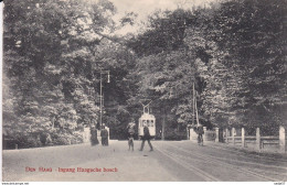 Netherlands Pays Bas Den Haag Ingang Haagsche Bos Tramway 1913 - Tram