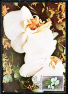 ROMANIA 1988 FLORA FLOWERS ORCHIDS PHALAENOPSIS AMABILIS FLOWER ORCHID 1L MAXI MAXIMUM CARD - Maximum Cards & Covers