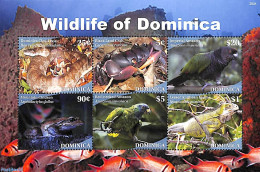 Dominica 2020 Wildlife Of Dominica 6v M/s, Mint NH, Nature - Birds - Frogs & Toads - Parrots - Reptiles - Snakes - Dominicaine (République)