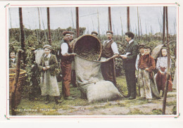 Nostalgia Postcard - Hop Picking, C1945  - VG - Sin Clasificación