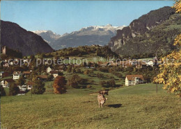 11890854 Paspels Mit Ringelspitze Paspels - Autres & Non Classés