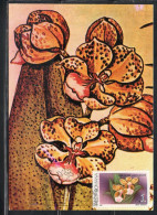 ROMANIA 1988 FLORA FLOWERS ORCHIDS ONCIDIUM LANCEANUM FLOWER ORCHID 1L MAXI MAXIMUM CARD - Maximumkarten (MC)