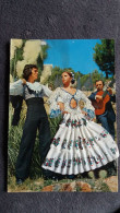 CARTE  BRODEE FOKLORE FOLKLORIQUE ESPAGNE ESPAGNOLE GUITARE EXTERIEUR CACTUS ROCHERS - Bordados