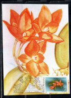 ROMANIA 1988 FLORA FLOWERS ORCHIDS SOPHRONITIS CERNUA FLOWER ORCHID 1L MAXI MAXIMUM CARD - Cartes-maximum (CM)