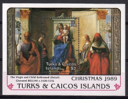 Turks And Caicos Islands 1989 Mi Block 79 MNH  (ZS2 TKIbl79) - Otros