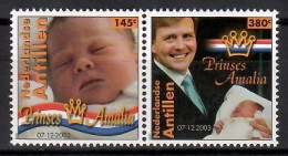 Netherlands Antilles 2004 Mi 1262-1263 MNH  (ZS2 DTApar1262-1263) - Otros & Sin Clasificación