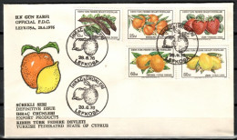 Northern Cyprus 1976 Mi 29-33 FDC  (FDC ZE2 CYT29-33) - Other & Unclassified