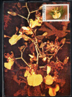 ROMANIA 1988 FLORA FLOWERS ORCHIDS ONCIDIUM SPLENDIDUM FLOWER ORCHID 1L MAXI MAXIMUM CARD - Maximumkarten (MC)