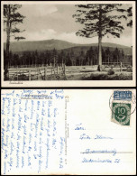 Ansichtskarte Ilsenburg (Harz) Brocken (Harz) - Gehege 1952 - Otros & Sin Clasificación