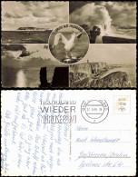 Ansichtskarte Helgoland (Insel) Mehrbild: Möwe, Ansichten 1957 - Altri & Non Classificati