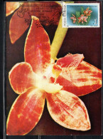 ROMANIA 1988 FLORA FLOWERS ORCHIDS PHALAENOPSIS LUEDDEMANNIANA FLOWER ORCHID 1L MAXI MAXIMUM CARD - Cartes-maximum (CM)
