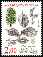 Timbre De 1985 - Flore Et Faune De France - Arbres Orme Des Montagnes - Ulmus Montana - N° 2385 Neuf - Nuovi