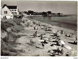 29 CONCARNEAU N°4039 La Plage De Sables Blancs Baignade Bronzage Belle Animation VOIR DOS - Concarneau