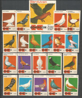 Germany 20+1 Old Used Matchbox Labels  Birds - Matchbox Labels