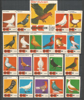 Germany 20+1 Old Used Matchbox Labels  Birds - Luciferdozen - Etiketten