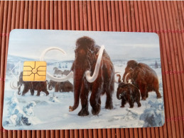 Elephannt Phonecard Used  Rare - Dschungel