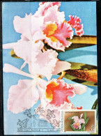 ROMANIA 1988 FLORA FLOWERS ORCHIDS CATTLEYA TRIANAE FLOWER ORCHID 1L MAXI MAXIMUM CARD - Maximum Cards & Covers