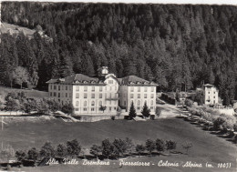 PIAZZATORRE-BERGAMO-ALTA VAL BREMBANA-COLONIA ALPINA- CARTOLINA VERA FOTOGRAFIA- VIAGGIATA IL 14-8-1958 - Bergamo