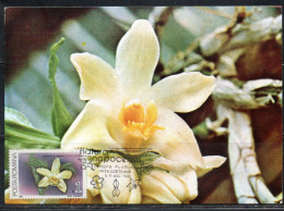 ROMANIA 1988 FLORA FLOWERS ORCHIDS CHYSIS BRACTENSCENS FLOWER ORCHID 1L MAXI MAXIMUM CARD - Maximum Cards & Covers