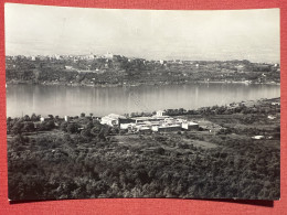 Cartolina - Centro Internazionale Pio XII - Rocca Di Papa - Villa Papale - 1955 - Sonstige & Ohne Zuordnung