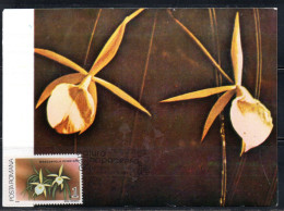 ROMANIA 1988 FLORA FLOWERS ORCHIDS BRASSAVOLA PERRINII FLOWER ORCHID 1L MAXI MAXIMUM CARD - Maximumkaarten