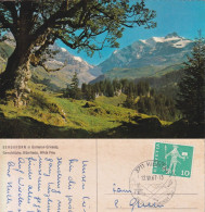 Kiental - Bergahorn In Gorneren Griesalp         1967 - Sonstige & Ohne Zuordnung