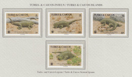 TURKS & CAICOS 1986 WWF Animals Iguana Mi 777-780 MNH(**) Fauna 719 - Otros & Sin Clasificación