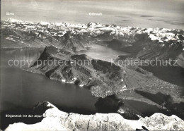 11887024 Buergenstock Saentis Glaernisch Buergenstock - Otros & Sin Clasificación