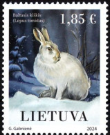LITHUANIA 2024 FAUNA Animals RABBIT HARE - Fine Stamp MNH - Lituania