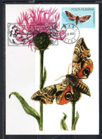 ROMANIA 1985 BUTTERFLIES SMERINTHUS OCELLATUS BUTTERFLY 5L MAXI MAXIMUM CARD - Maximumkaarten