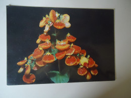 BRAZIL   POSTCARDS FLOWERS  ORCHIDS  MORE  PURHASES 10% DISCOUNT - Sonstige