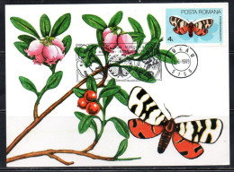 ROMANIA 1985 BUTTERFLIES AMMOBIOTA FESTIVA BUTTERFLY 4L MAXI MAXIMUM CARD - Cartes-maximum (CM)