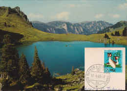 Seebergsee Im Simmental  (Bleiken B.Oberdiessbach)      1980 - Sonstige & Ohne Zuordnung