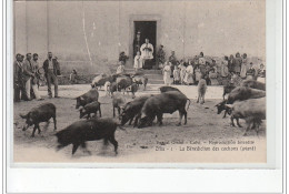 ZILIA - La Bénédiction Des Cochons (avant) - Ed. Pascal Orsini - Calvi - Très Bon état - Altri & Non Classificati