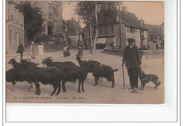 SALIES DE BEARN - Chèvrier - Très Bon état - Salies De Bearn