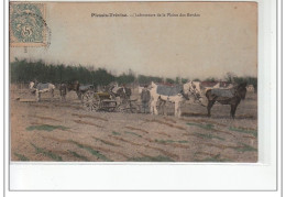 PLESSIS-TREVISE - Laboureurs De La Plaine Des Bordes - Très Bon état - Le Plessis Trevise