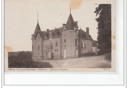 PIONNAT - Chateau De Bogenet - Très Bon état - Other & Unclassified