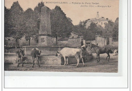 MONTIGNY LE ROI - Fontaine Du Puits Vachot - Très Bon état - Montigny Le Roi