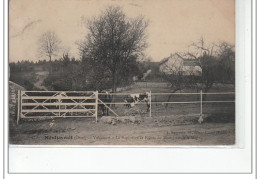 MONTJAVOULT - Valécourt - La Sapinière Et Route De Montjavoult à Magny - Très Bon état - Montjavoult