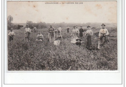 LUZARCHES - La Cueillette Des Pois - Très Bon état - Luzarches