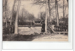 Environs De REIMS - SAINT BRICE - Le Deversoir De La Vesle - Très Bon état - Otros & Sin Clasificación