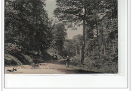 Forêt De PERSEIGNE, Près MAMERS - Vallée De L'Enfer - Très Bon état - Sonstige & Ohne Zuordnung