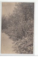 DOUBS - CARTE PHOTO - Paysage Enneigé - Très Bon état - Autres & Non Classés