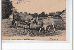 EN CREUSE - Combat - Très Bon état - Sonstige & Ohne Zuordnung