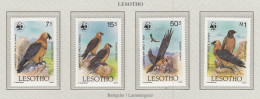 LESOTHO 1986 WWF Birds Mi 556-59 MNH(**) Fauna 725 - Sonstige & Ohne Zuordnung