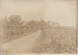 Ste FOY La Grande - Photos ( 18 Cm X 12,5 ) - Environs De PAUILLAC - Chateau Rochet - Europa