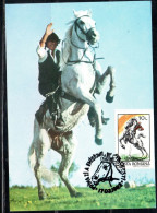 ROMANIA 1992 HORSES 10L MAXI MAXIMUM CARD - Cartes-maximum (CM)