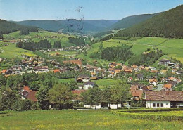 AK 216023 GERMANY - Baiersbronn - Baiersbronn