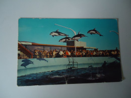 UNITED STATES  POSTCARDS DOLPHINS    MORE  PURHASES 10% DISCOUNT - Dolphins